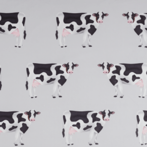 Krowy- welur tapicerski